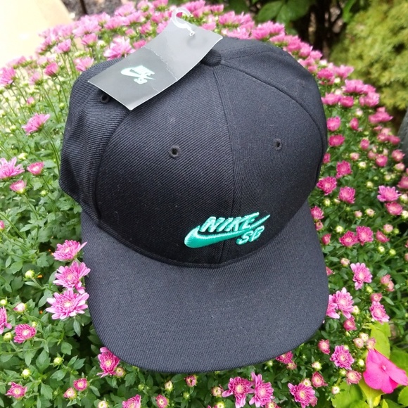 nike sb icon pro snapback